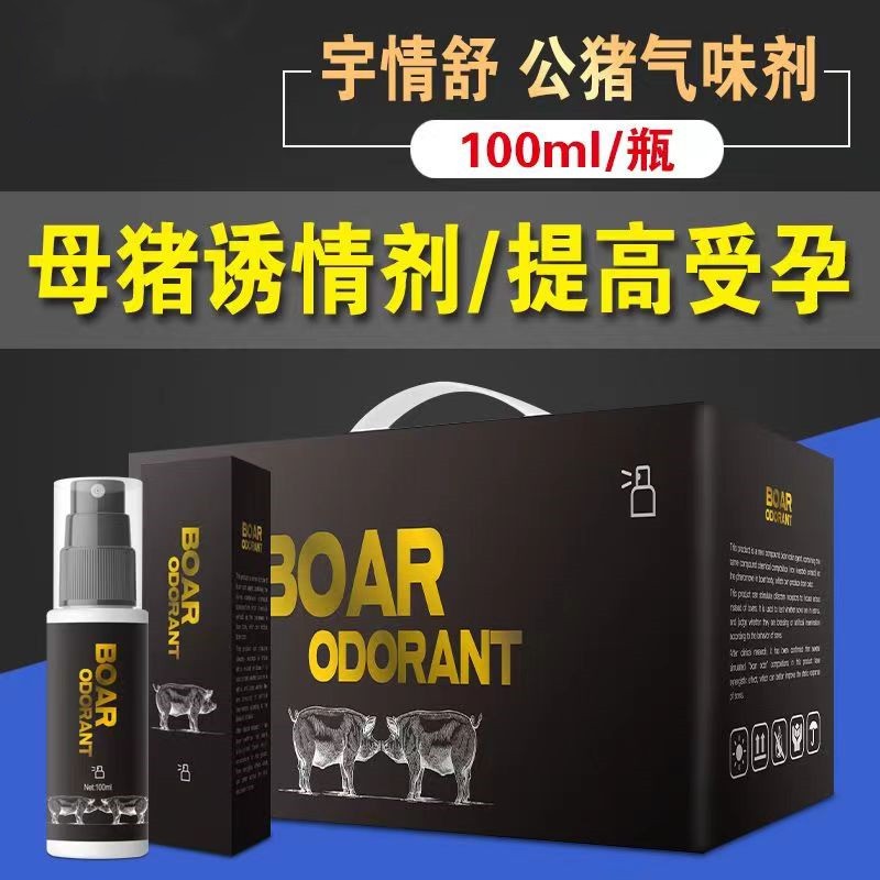 O1CN01814cf61CqxSBeX6eG_!!2208743630133.jpg