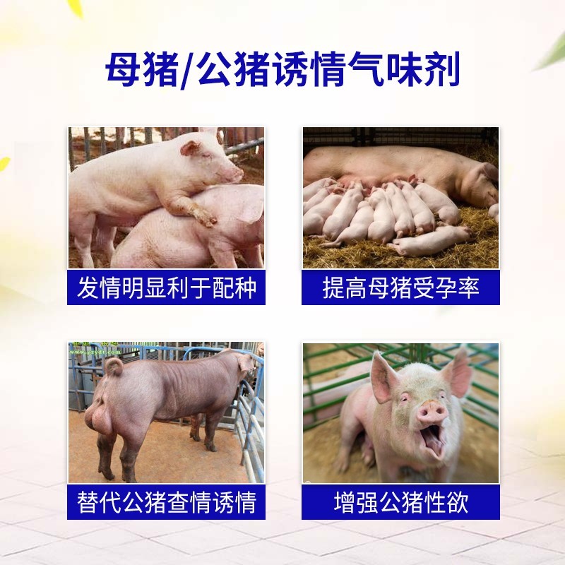 O1CN01ucmqj31CqxSCumVjL_!!2208743630133.jpg