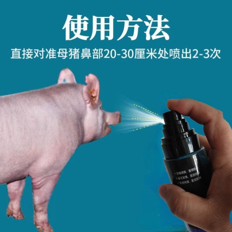 O1CN01rY7Ddp1CqxS8votIT_!!2208743630133.jpg