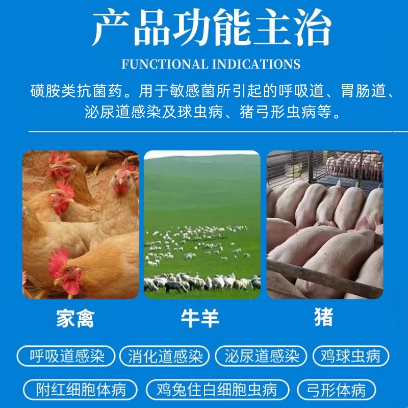 O1CN01NGMnuS1CqxRuGPaSl_!!2208743630133.jpg