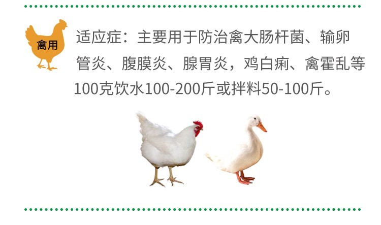 O1CN01zkMKkw1CqxRsFrFch_!!2208743630133.jpg