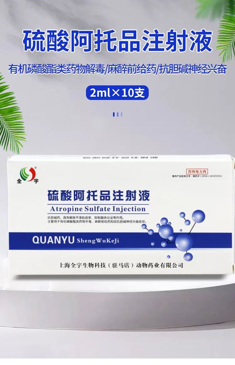 O1CN01Mhpcnw1CqxRrH7sEq_!!2208743630133.jpg