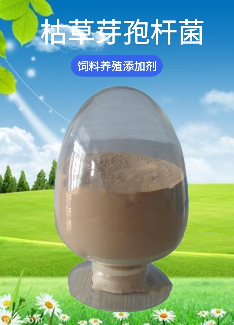 O1CN01PusWoi1CqxRFUJH22_!!2208743630133.jpg