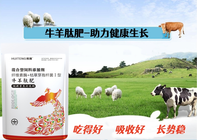 详情页1.jpg 详情页1.jpg