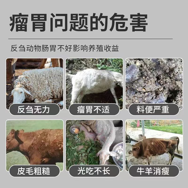 详情页2.jpg