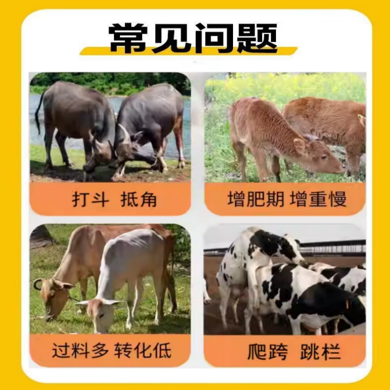 详情页2.jpg