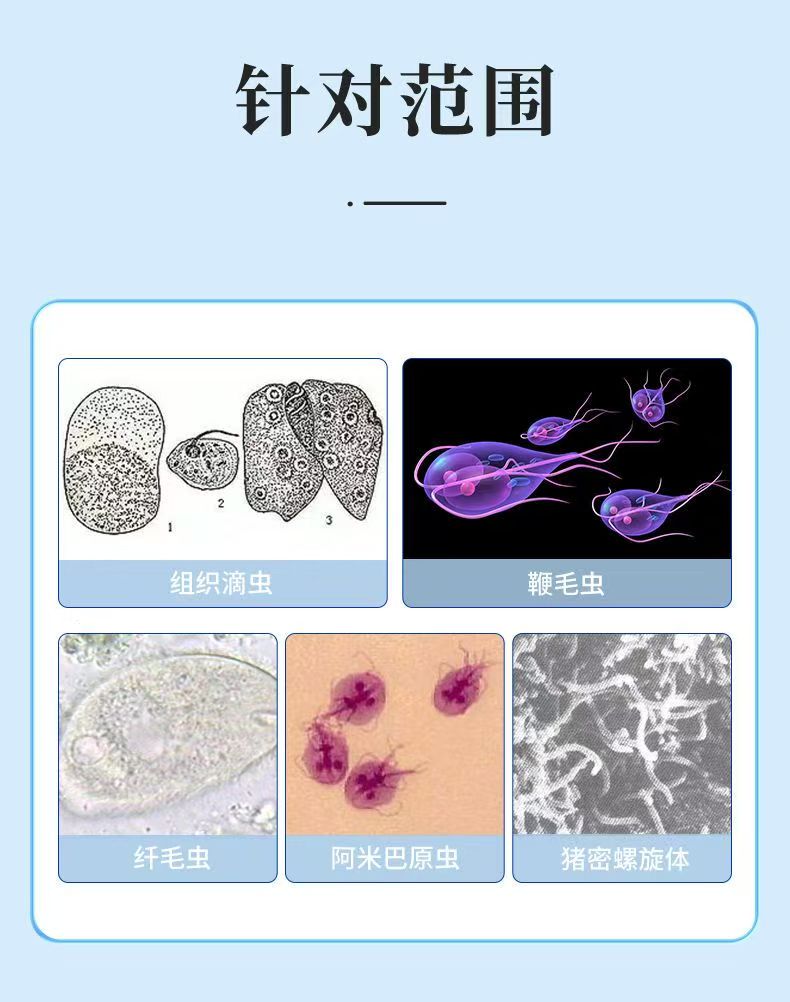 2.jpg 2.jpg