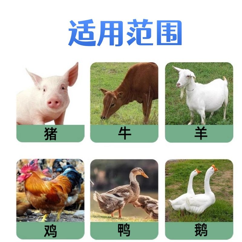 主图4.jpeg