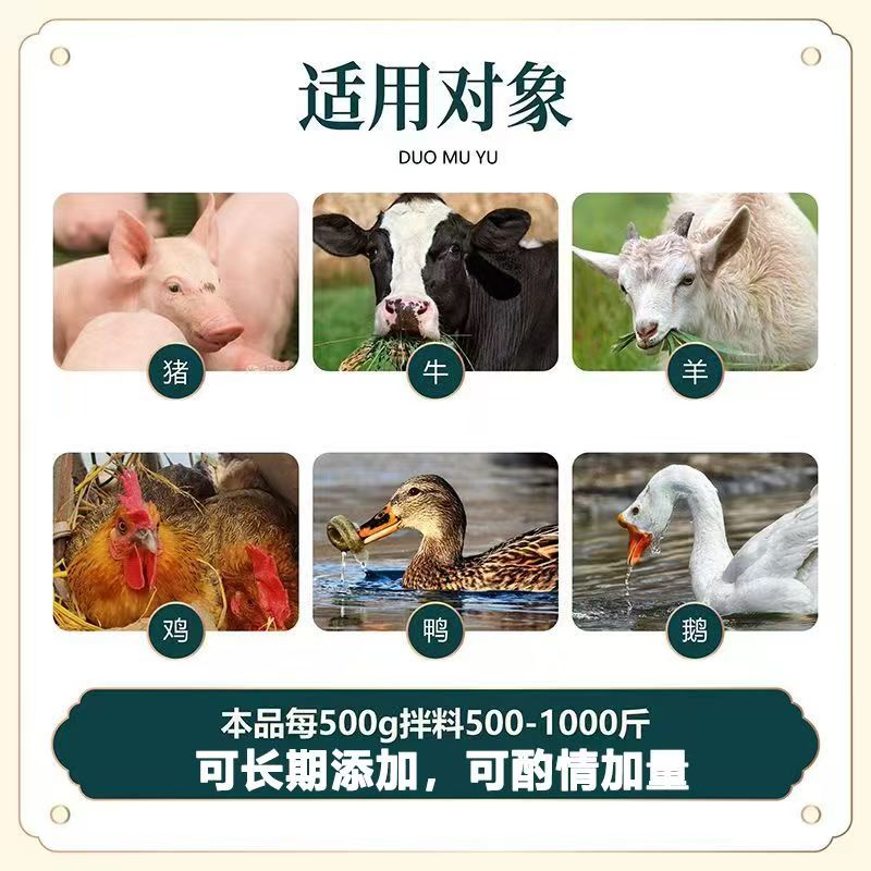 主图5.jpg