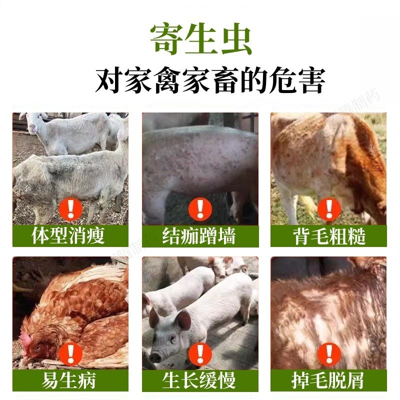 4详情页5.jpeg