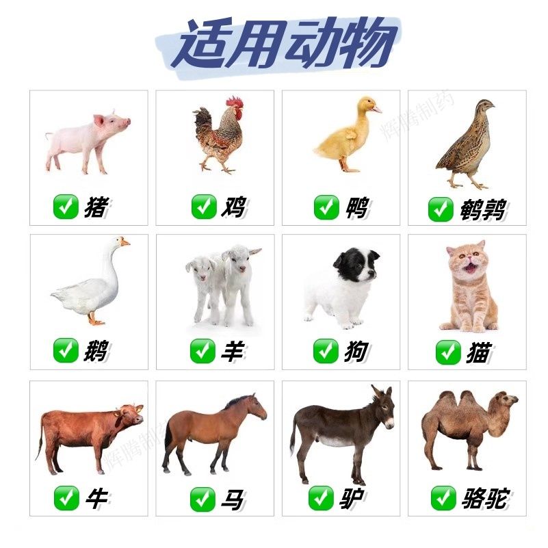 5详情页7.jpeg