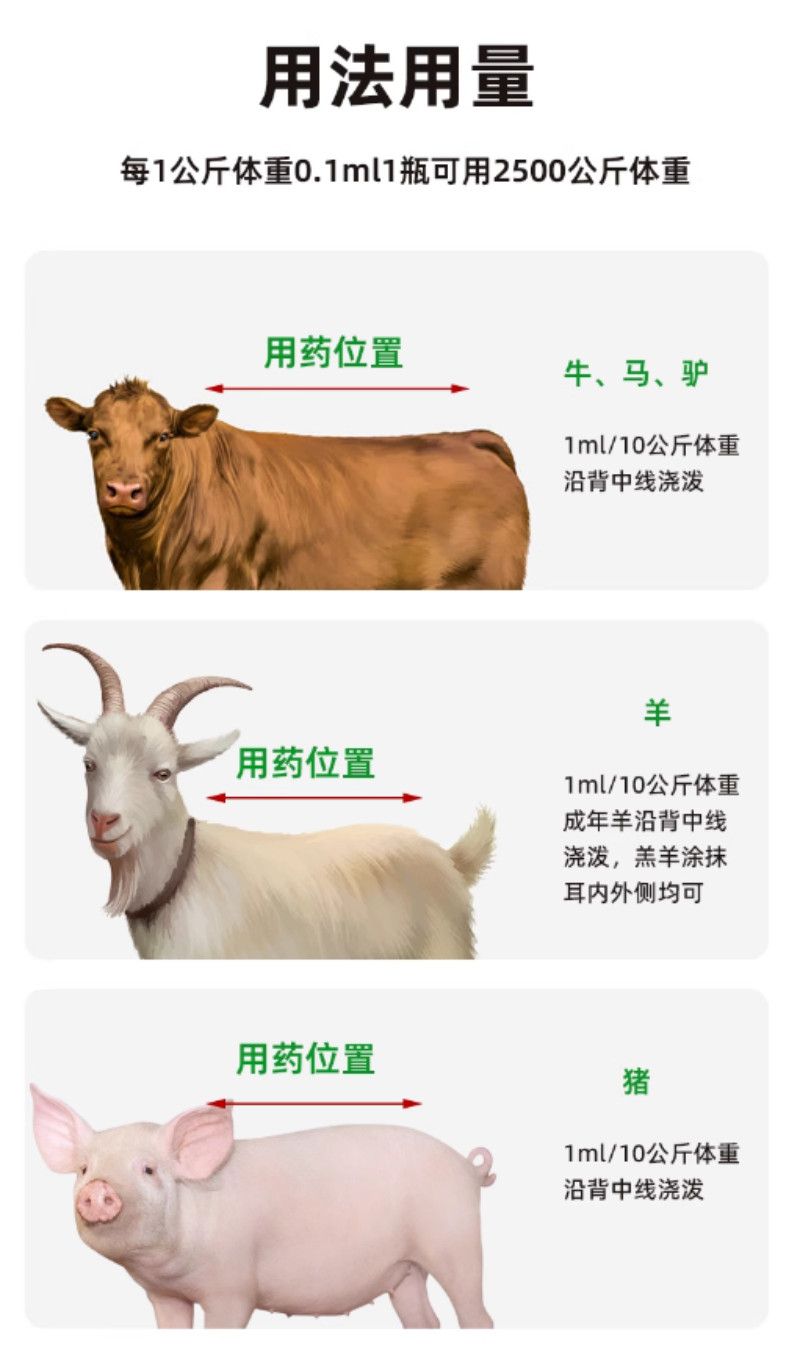 详情页3.jpeg